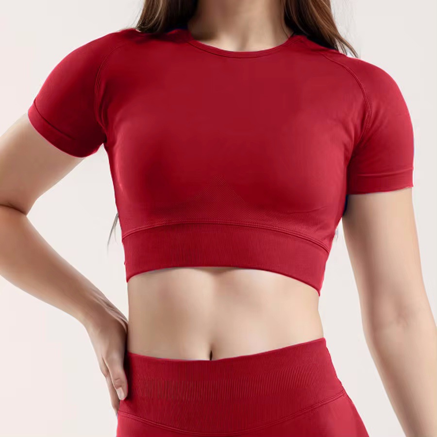 Nylon Fabric High Wicking Fitness Short Sleeve Red - Shop at LoveMi
