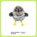 Cuckoo