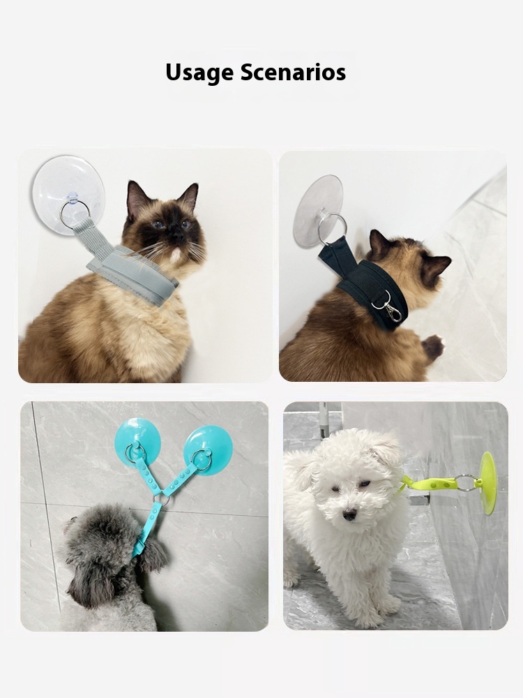 Cat Bath Holder Anti-scratch Anti-tampering Pet Dog Miracle Baby Sponge Cat Shaving Scissors Nail Cleaning Supplies
