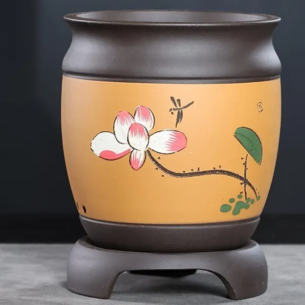 Phalaenopsis Chinese Rose Household Clivia Flowerpot With Tray