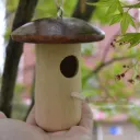 Mushroom Shape