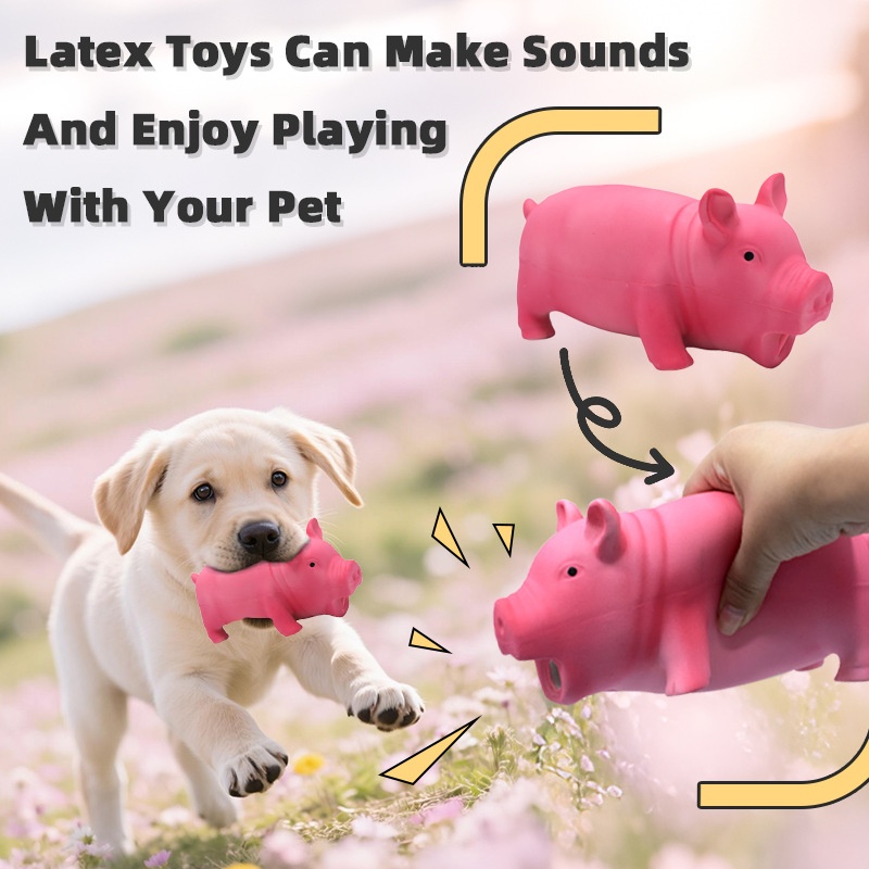 Molar Long Lasting Small Medium And Large Dogs Relief Artifact Pet Dog Toy