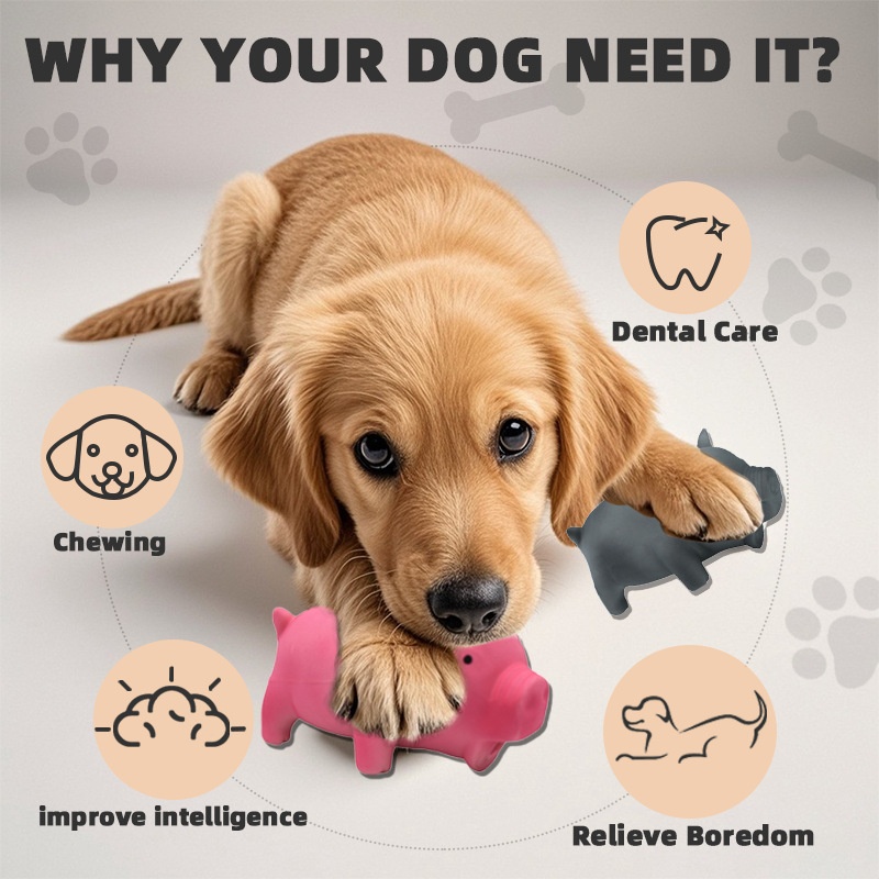 Molar Long Lasting Small Medium And Large Dogs Relief Artifact Pet Dog Toy