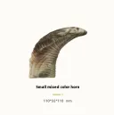 Ox Horn