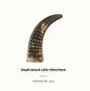 Rhinoceros Horn