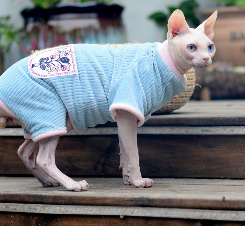 Hairless Cat Autumn And Winter Warm Double-sided With Velvet Pet Cat Clothes