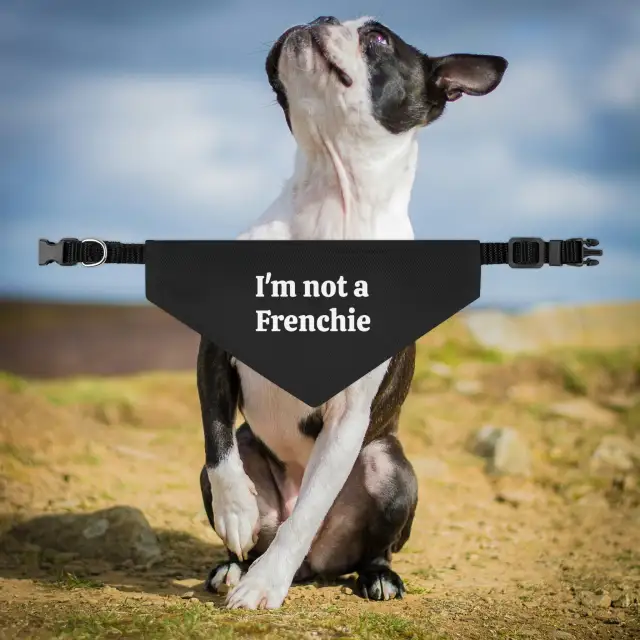 Dog Saliva Towel Triangular Binder Scarf Collar Ornament Black - Shop at LoveMi