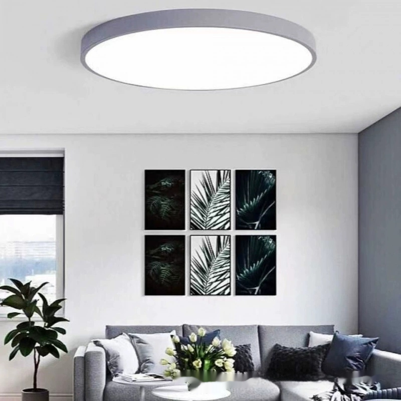 Round Engineering Ceiling LED Lamp Bedroom
