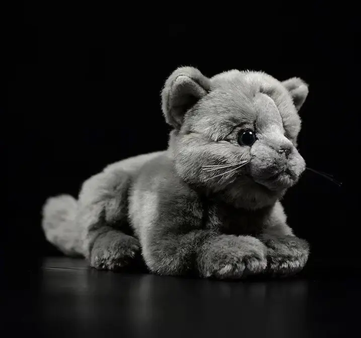 British Short-haired Cat Plush Toy Doll Cute