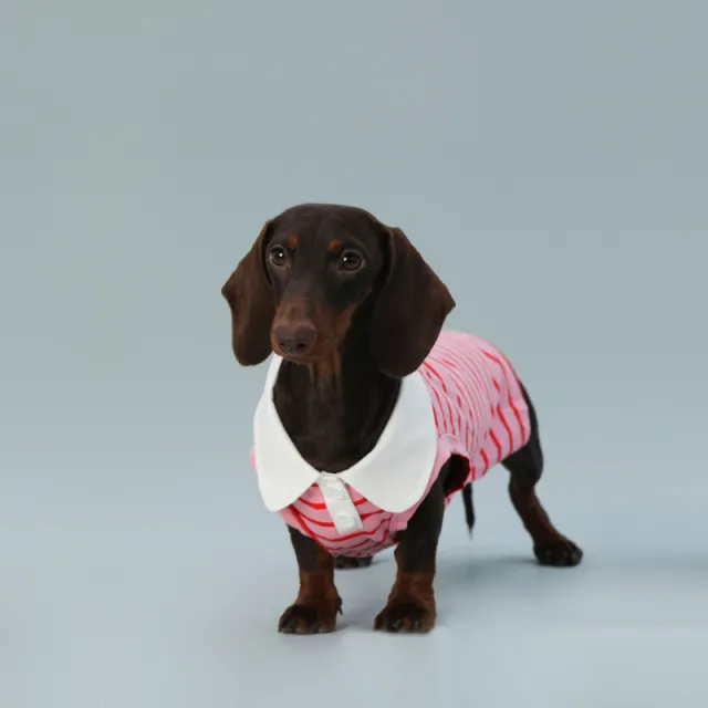 Dog Vest Sleeveless Red Striped Small Dog Schnauzer Sausage Pink - Shop at LoveMi