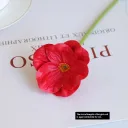 Bright Red