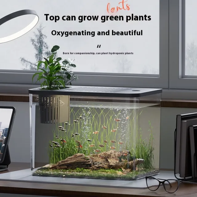 Ecological Betta Tank Living Room Mini Size Home Black With Cover - Shop at LoveMi