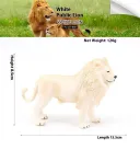 Lying Posture White Lion