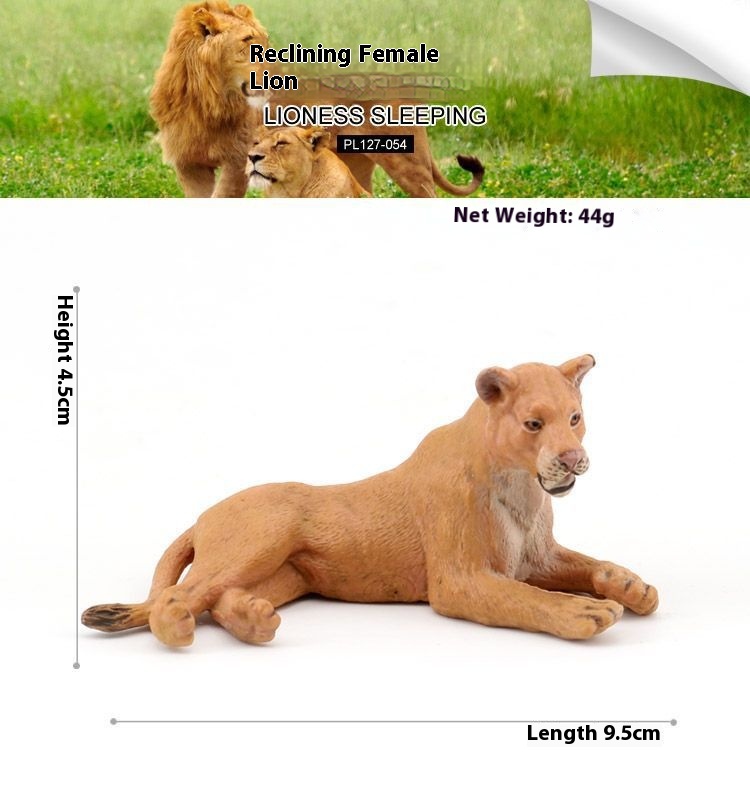 Lying Lion