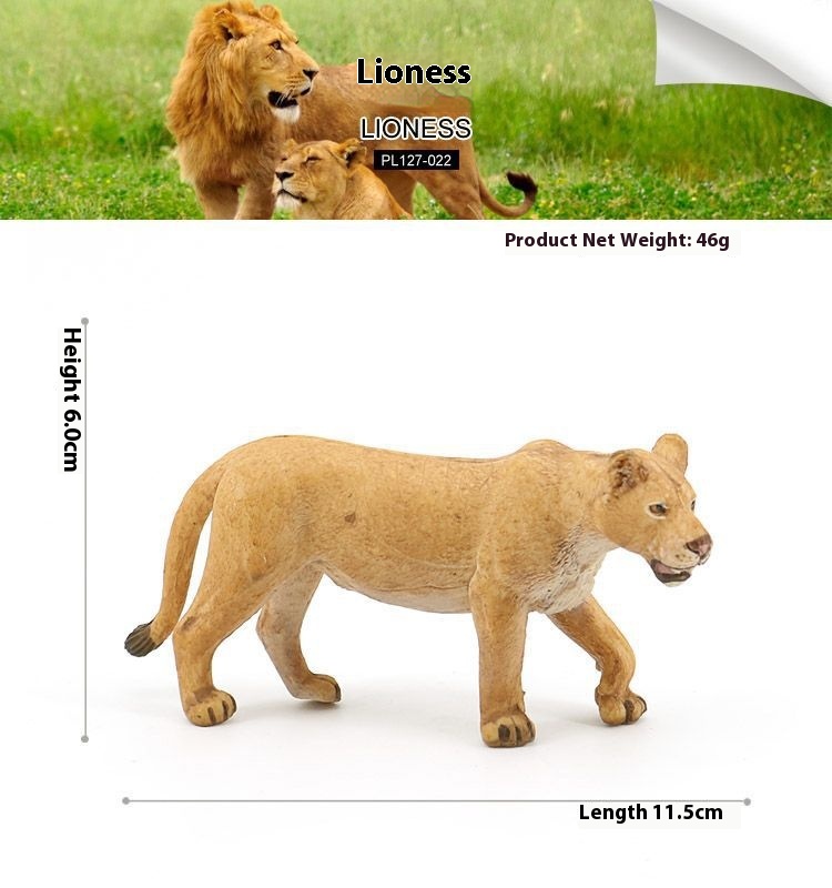 Lioness
