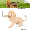 1467 African Lion