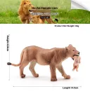 Baby Lion