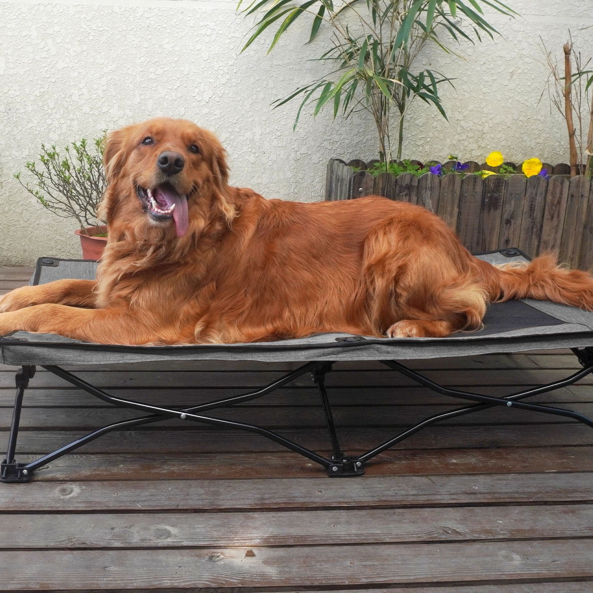 Double Layer Fabric Large Foldable Dog Bed