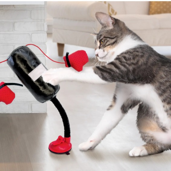 Portable Cat Punching Bag Toy Interactive Indoor Kitten Pet Supplies Koalakits36
