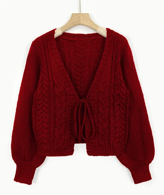 Autumn And Winter Thin Idle Style Outer Design Blouse Deep V neck Top Red - Shop at LoveMi