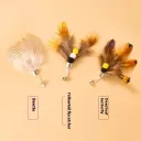 3 Little Flying Insects