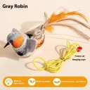 Gray Robin