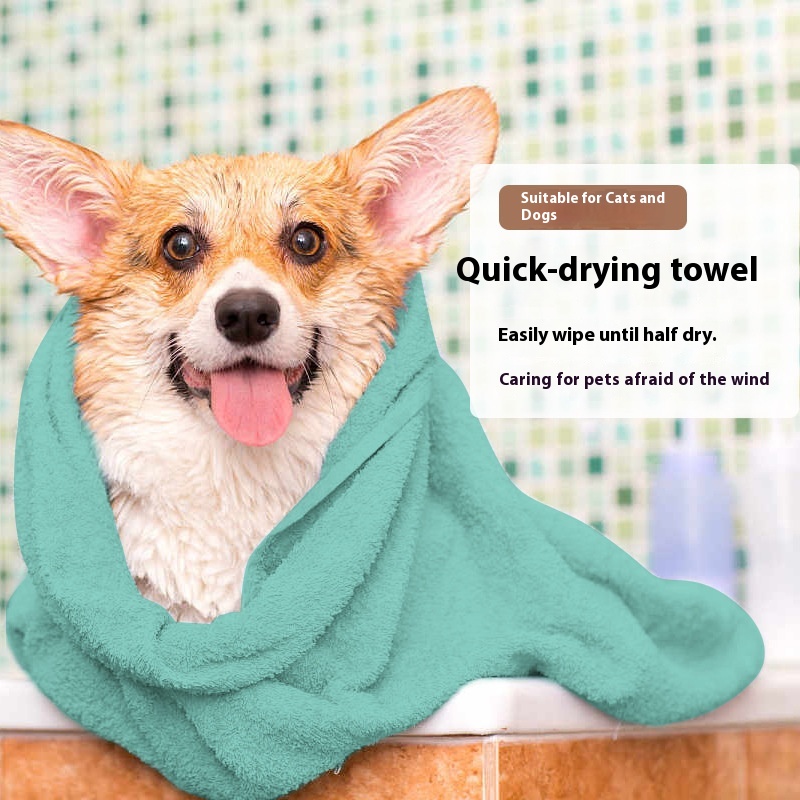 Bath Cleaning Towel Absorbent Quick-drying Towel