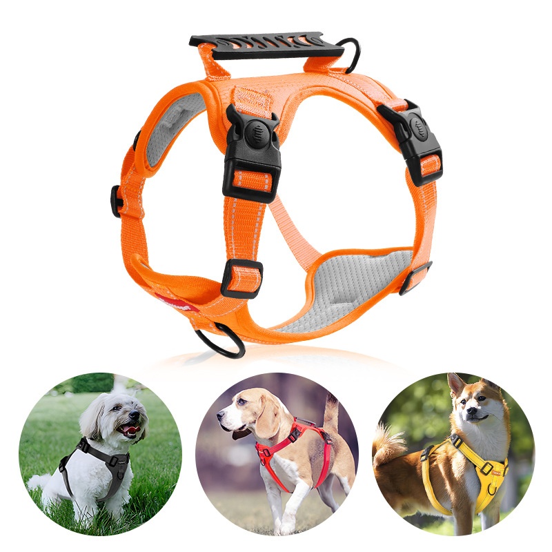 Large, Medium And Small Dog Chest Harness Traction Rope