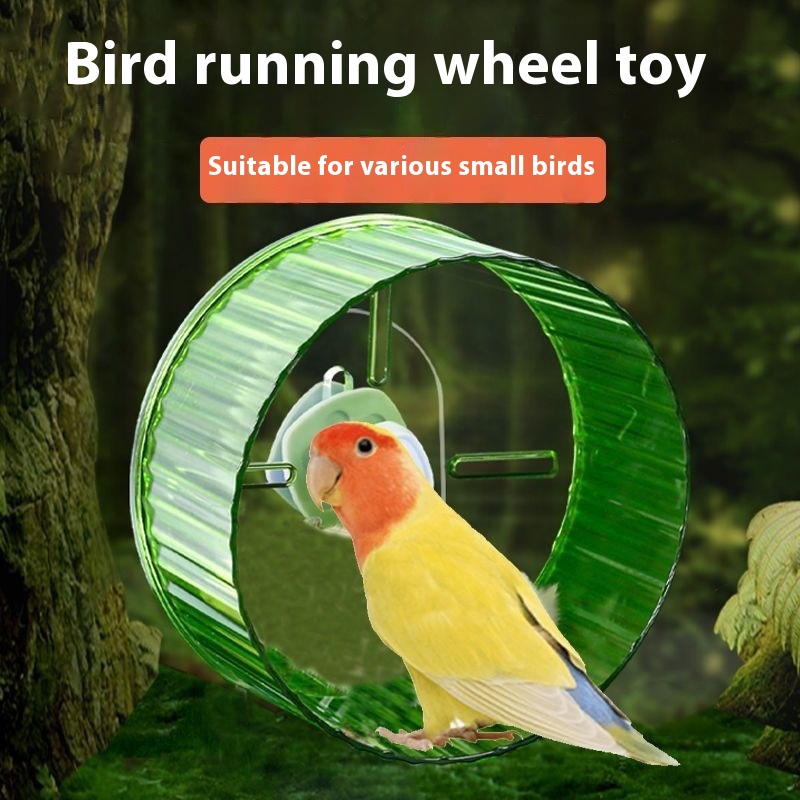 Parrot Wheel Running Toy Relieving Stuffy Self-Hi Xuanfeng Peony Bird Wheel Treadmill