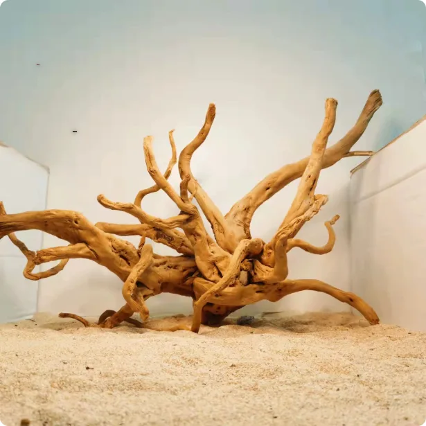 Xiaoqi Root Fish Tank Scenery Decoration Ornaments