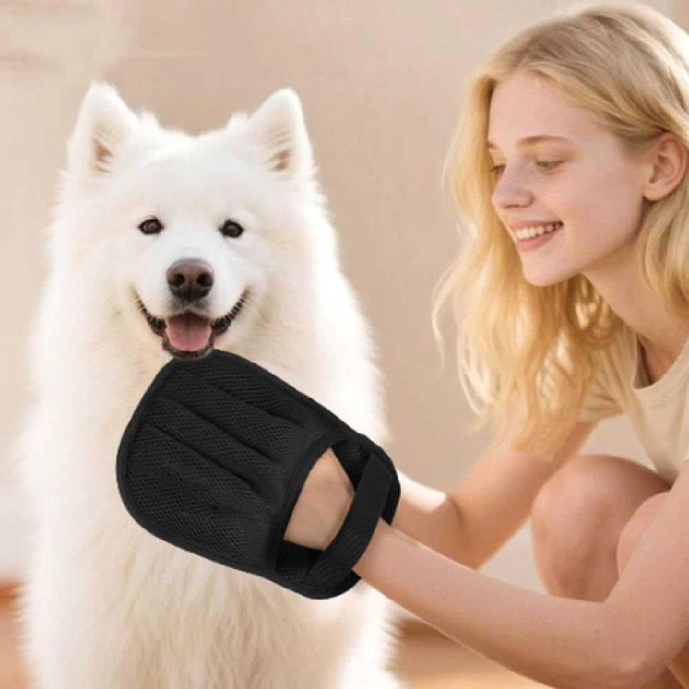 Household Lightweight Pet Hair Cleanup Artifact