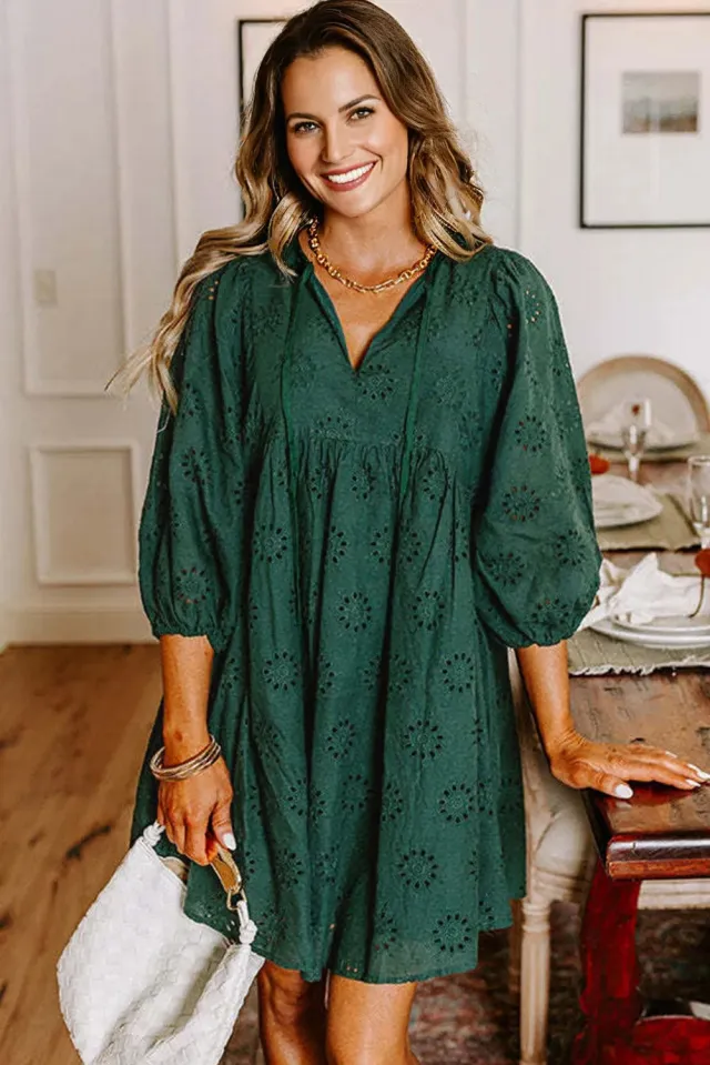 Blackish Green Embroidered Eyelet Pattern Puffy Sleeve Swing Mini Dress Black - Shop at LoveMi