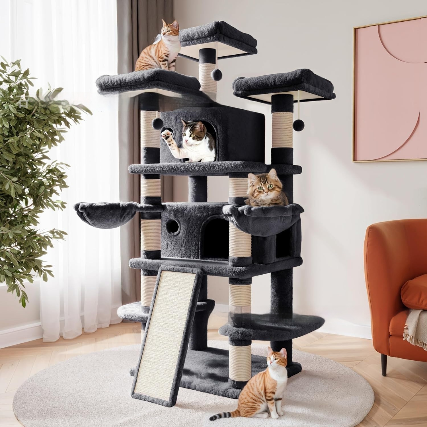 Cat Climbing Frame High-rise Floor Space Is Not Occupied
