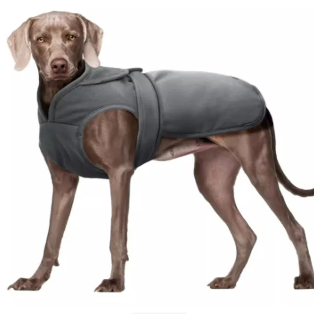 Dog Windproof Jacket With Fleece For Warmth And Waterproof Gray - Shop at LoveMi