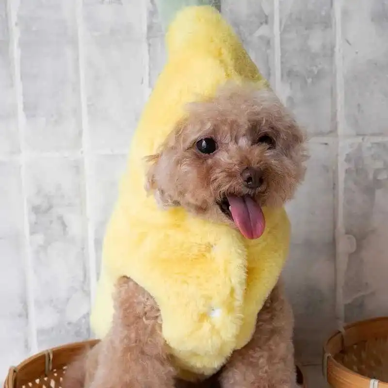 Dog Clothes Autumn And Winter Funny Banana Pet Costume - Yellow
