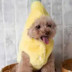 Dog Clothes Autumn And Winter Funny Banana Pet Costume - Yellow - View 1