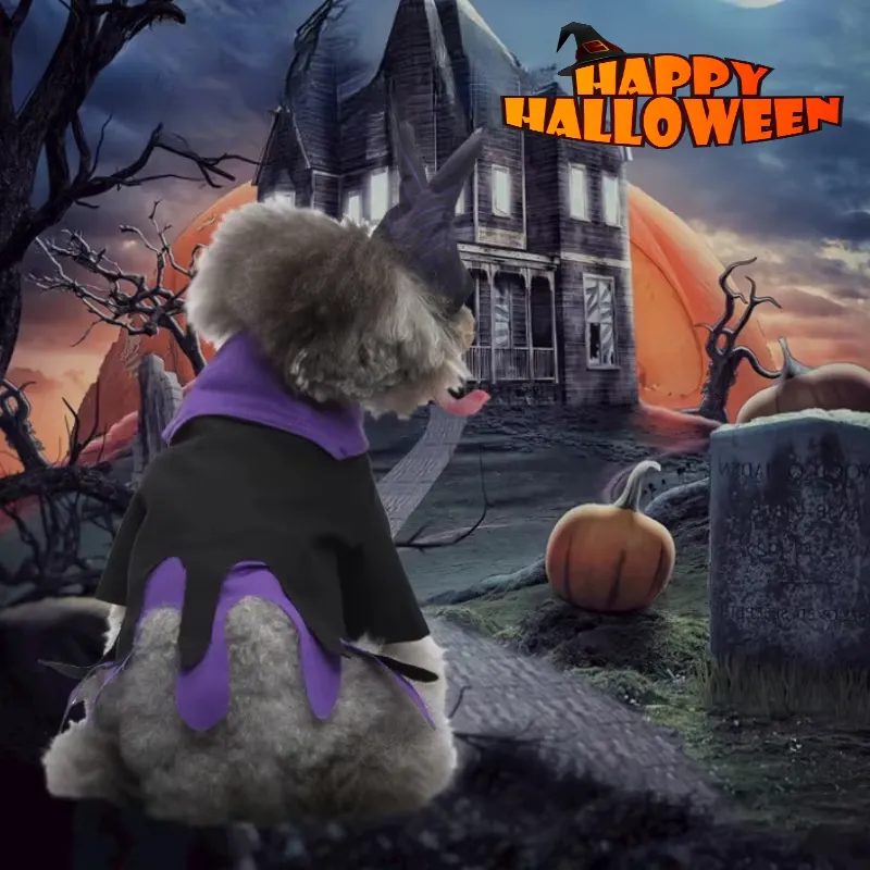 Pet Clothes Cosplay Funny Outfit Dog Butterfly