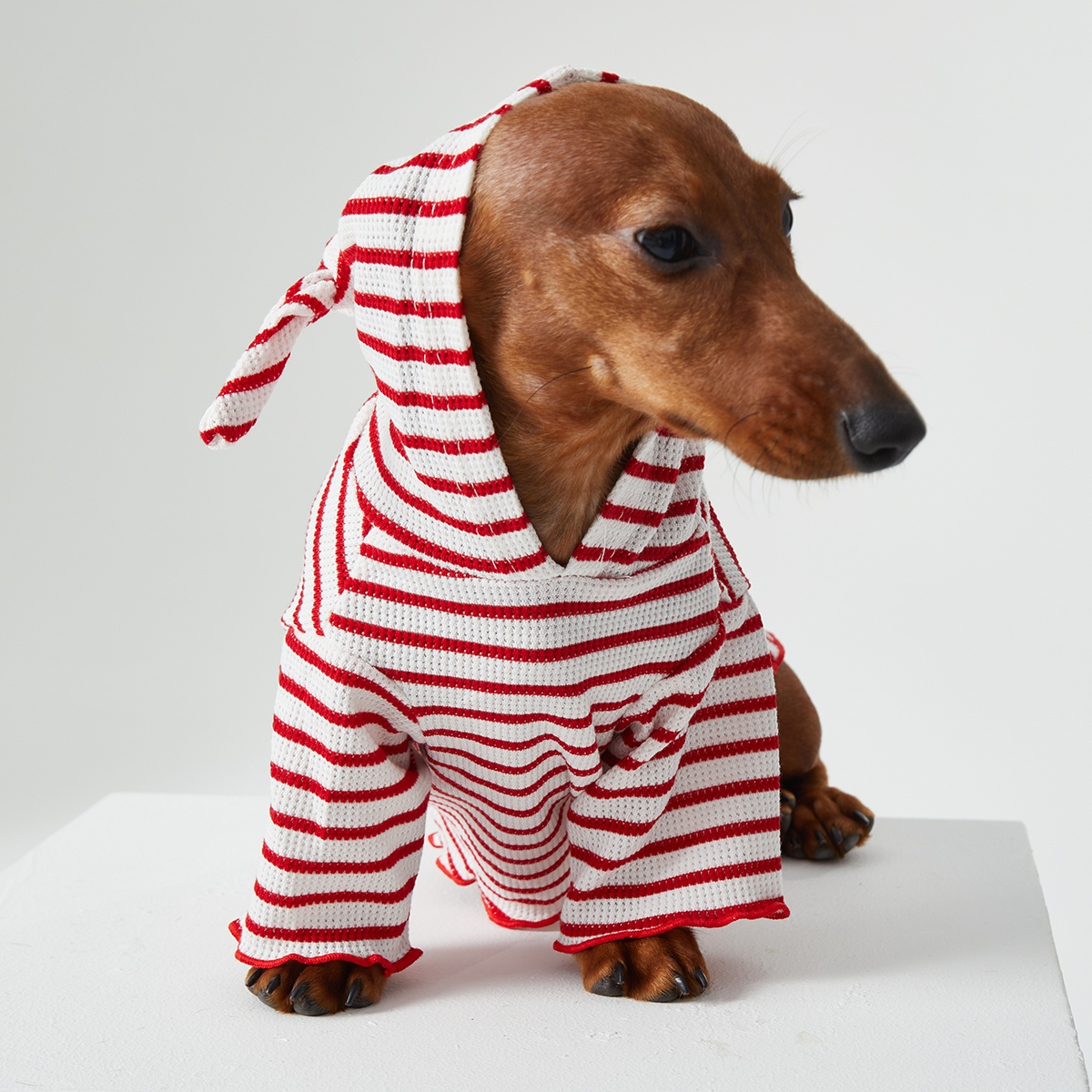 Dog Cat Pet Clothes Striped Hooded CAT Two Feet Apparel