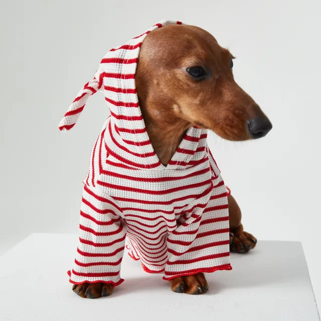 Dog Cat Pet Clothes Striped Hooded CAT Two Feet Apparel Red - Shop at LoveMi