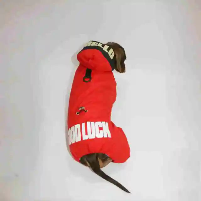 Dog Cat Winter Warm Thickened Outdoor Four legged Pet Clothing Red - Shop at LoveMi