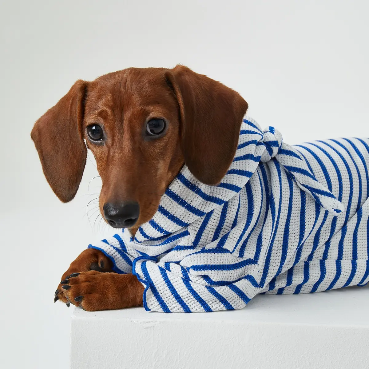 Dog Cat Pet Clothes Striped Hooded CAT Two Feet Apparel