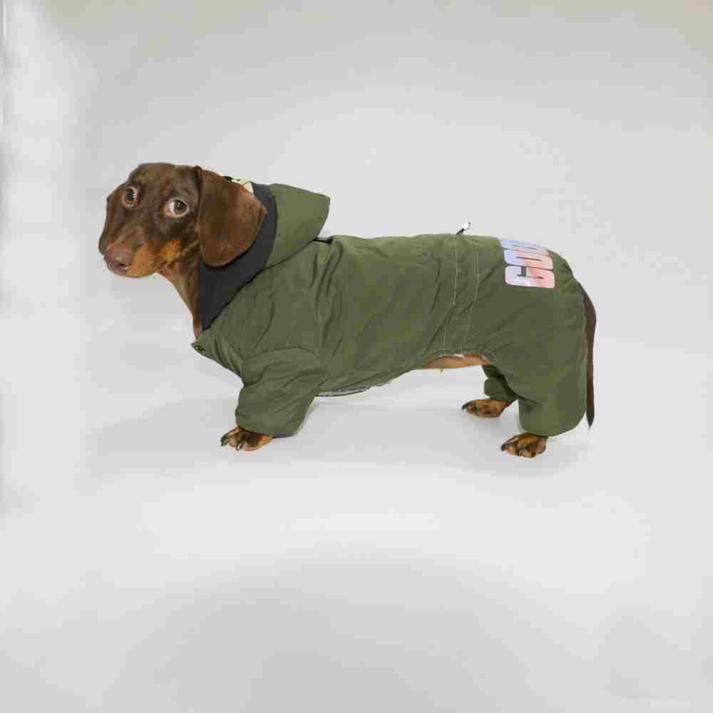 Dog Cat Winter Warm Thickened Outdoor Four-legged Pet Clothing