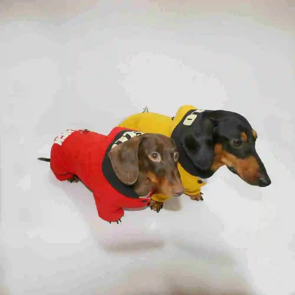Dog Cat Winter Warm Thickened Outdoor Four-legged Pet Clothing