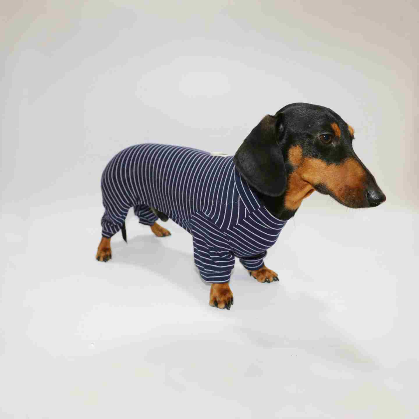 Thin Striped Dog Cat Pet Clothes