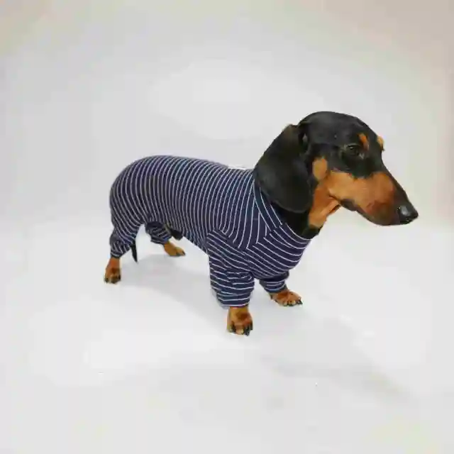 Thin Striped Dog Cat Pet Clothes Navy Blue - Shop at LoveMi