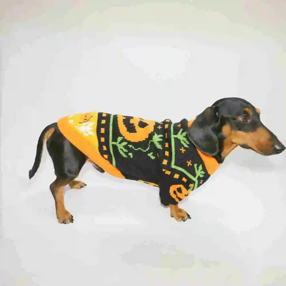 Dog Cat Pet Clothes Warm Pumpkin Color Matching Sweater
