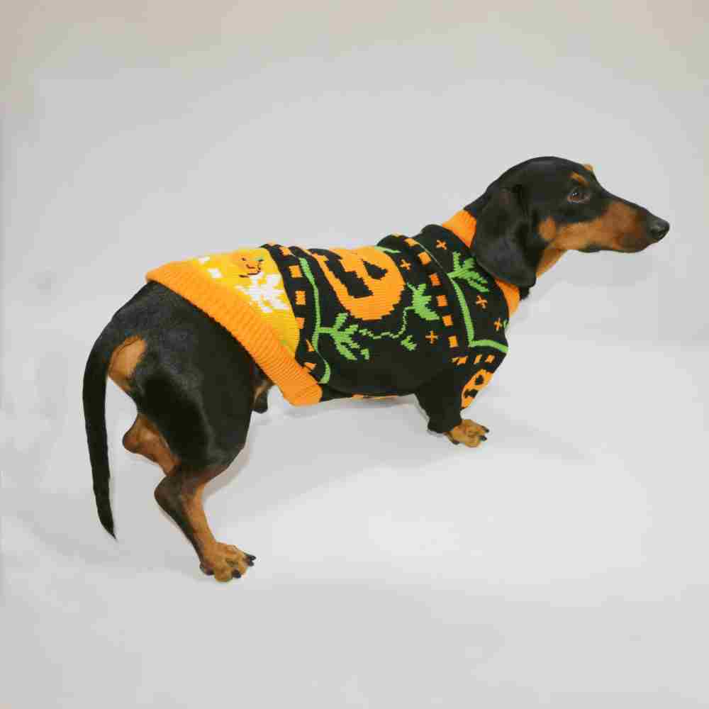 Dog Cat Pet Clothes Warm Pumpkin Color Matching Sweater