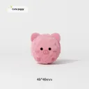 Piggy