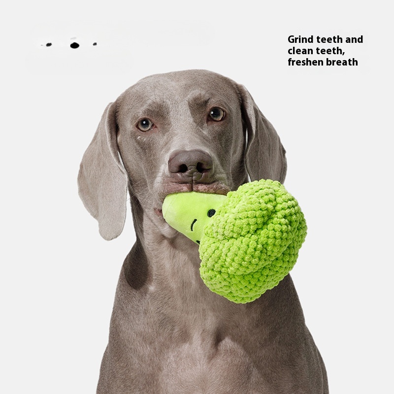 Dog Molar Teeth Cleaning Brocoli Plush Doll Sound Toy