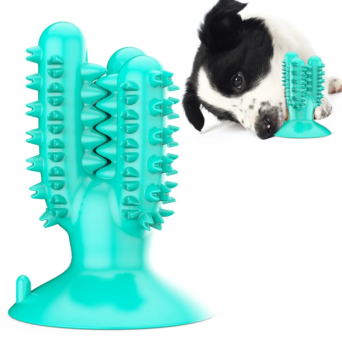 Tooth Cleaning Molar Rod Bone Corn Dog